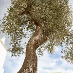 Ξενοδοχείο Masseria Calderisi 5*