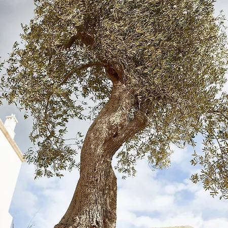 ホテル Masseria Calderisi 5*