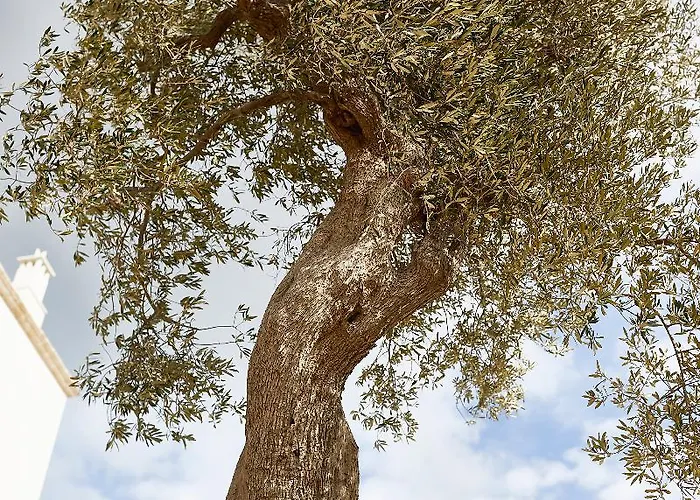 Hotel Masseria Calderisi 5*